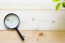 愛知・名古屋の中古車販売店では誰が中古車の査定をしているの？